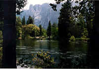 Y_Yosemite 2.jpg (82184 bytes)